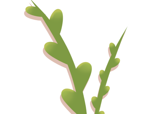 Green Seagrass